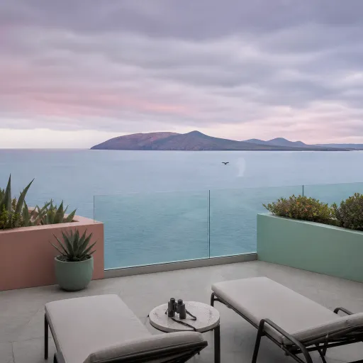 Whale Watching from Your Hotel: the Canary Islands' Best Marine-Life Stays
